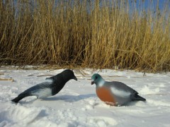 Чучело сорока пластиковое пр-во г.Краснодар